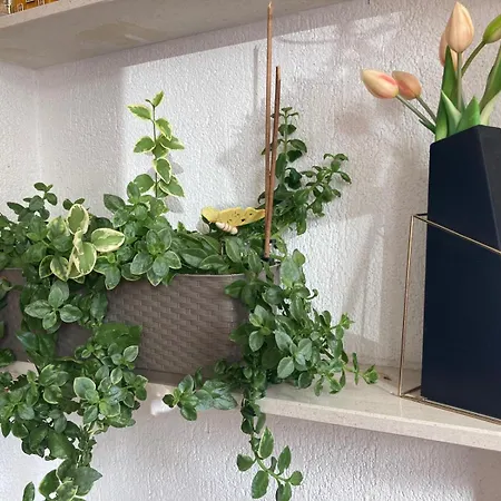 Apartman Pink Wave *